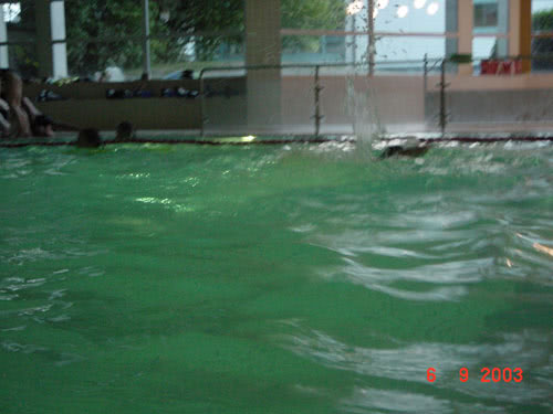 Einführung für angehende Schwimmsportleitende 2003 - Bild 27