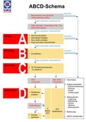 ABCD-Schema