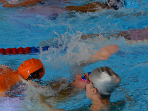 Regionaltreffen Wädenswil 2016 - Bild 14