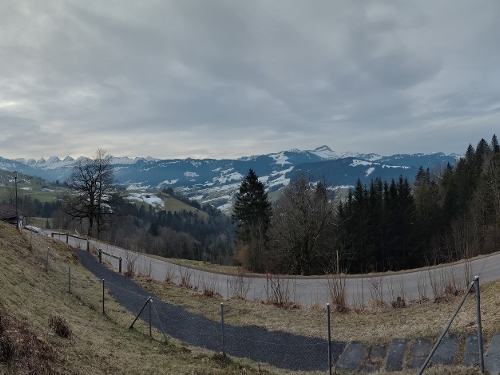 PANO_2025-02-22_08-03-55