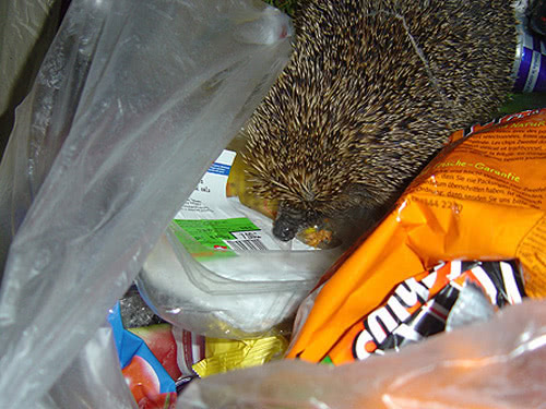 Zeltweekend 2005 - Bild 51